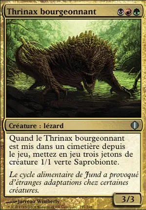 Thrinax bourgeonnant