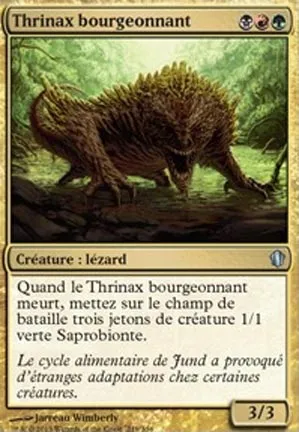 Thrinax bourgeonnant