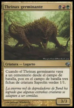 Thrinax bourgeonnant