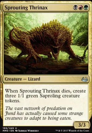 Thrinax bourgeonnant