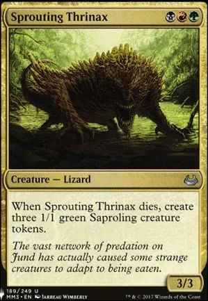 Thrinax bourgeonnant