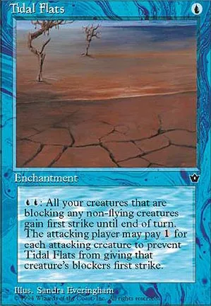 Tidal Flats