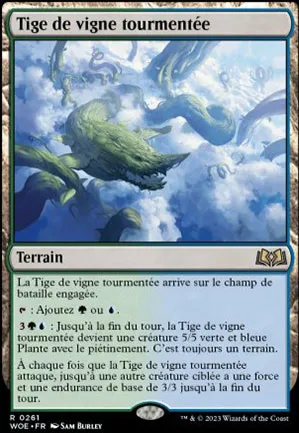 Tige de vigne tourmentée