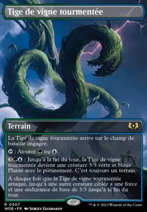 Tige de vigne tourmentée