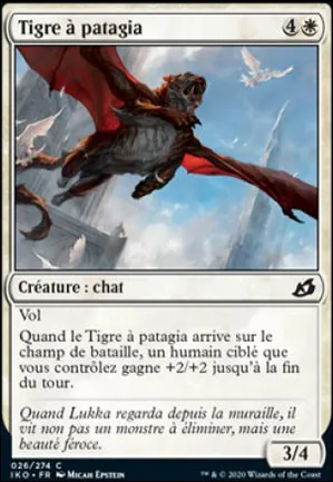 Tigre à patagia