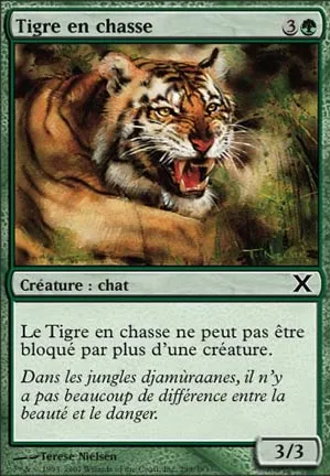 Tigre en chasse