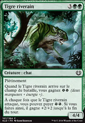 Tigre riverain
