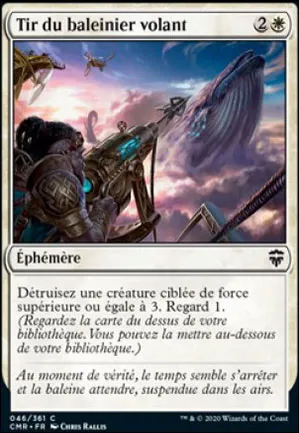 Tir du baleinier volant