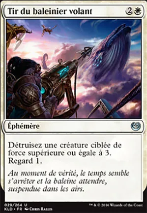 Tir du baleinier volant