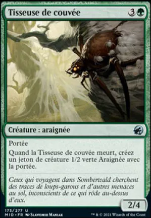 Tisseuse de couvée