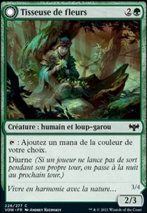 Tisseuse de fleurs // Loup-garou fleuri