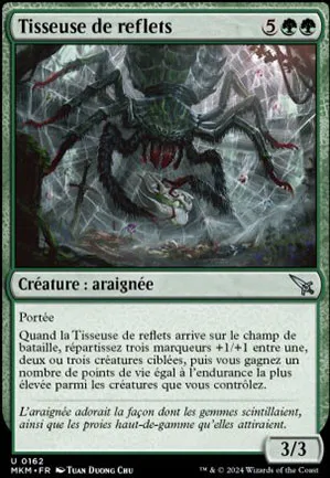 Tisseuse de reflets