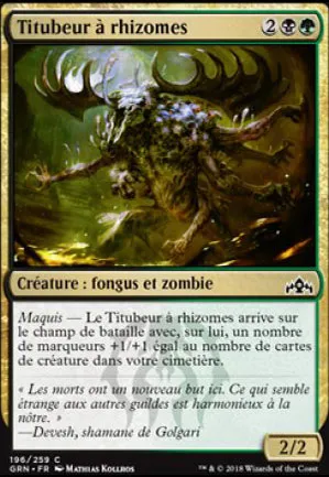 Titubeur à rhizomes