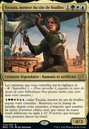 Tocasia, mentor du site de fouilles