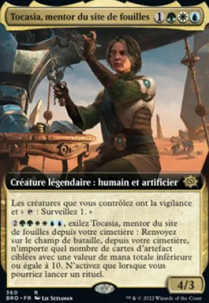 Tocasia, mentor du site de fouilles