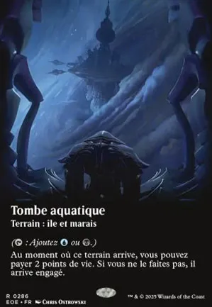 Tombe aquatique