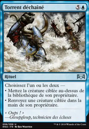Torrent déchaîné