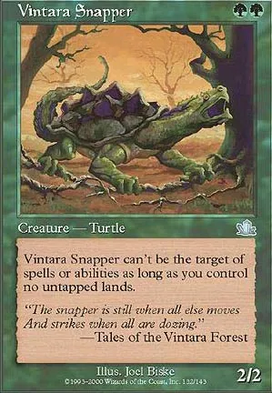 Tortue claqueuse de Vintara