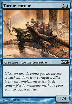 Tortue cornue
