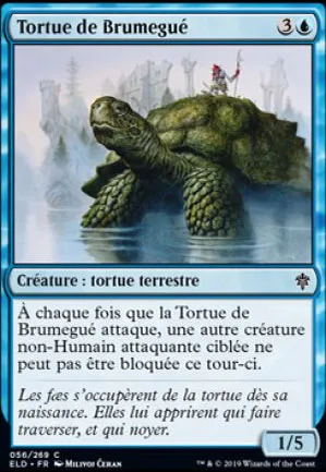 Tortue de Brumegué