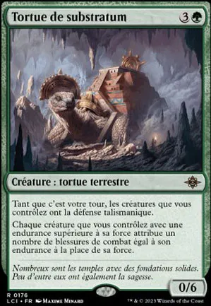 Tortue de substratum