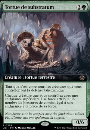 Tortue de substratum