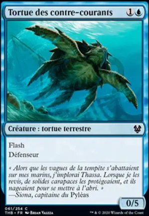 Tortue des contre-courants