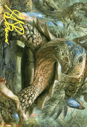 Tortue florissante – Illustration