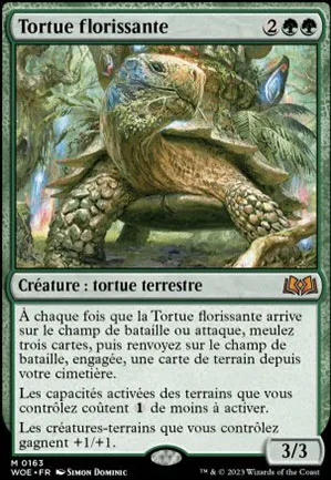 Tortue florissante