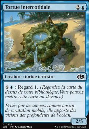 Tortue intercotidale