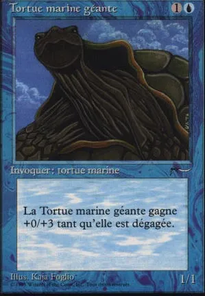 Tortue marine géante