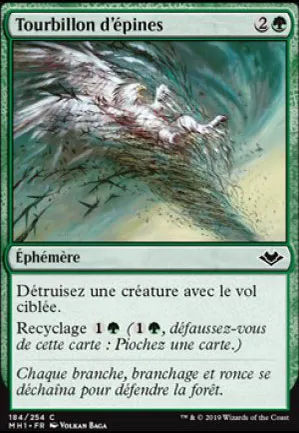 Tourbillon d'épines