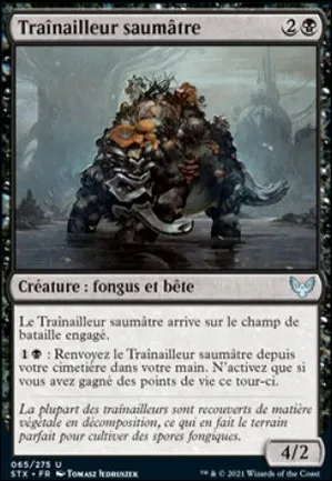 Traînailleur saumâtre