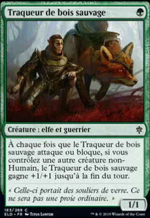 Traqueur de bois sauvage