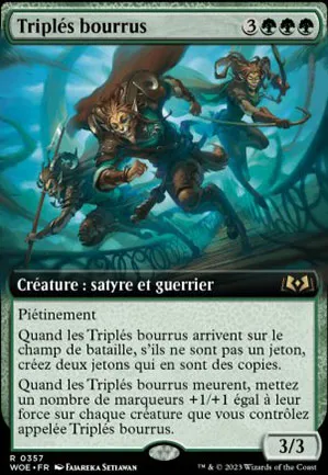 Triplés bourrus