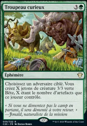 Troupeau curieux