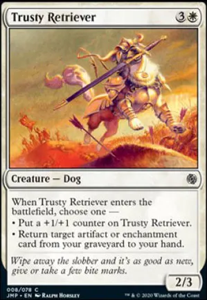 Trusty Retriever