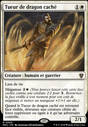 Tueur de dragon caché