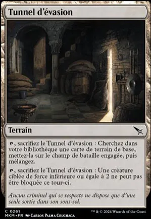 Tunnel d'évasion