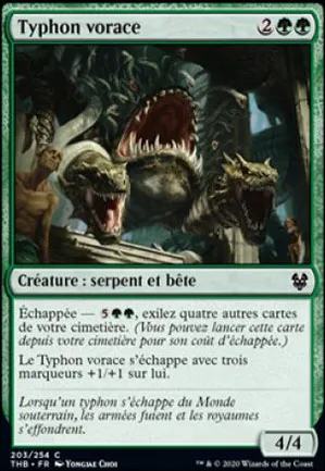 Typhon vorace