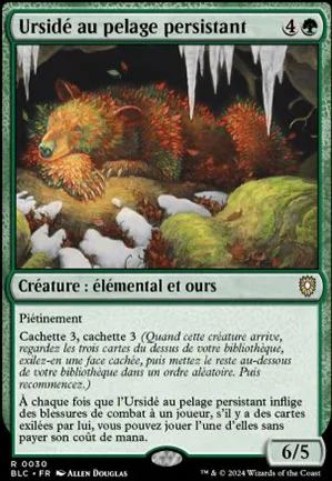 Ursidé au pelage persistant