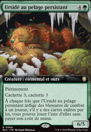 Ursidé au pelage persistant
