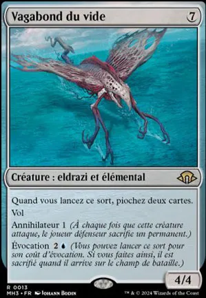 Vagabond du vide