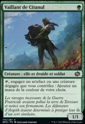 Vaillant de Citanul