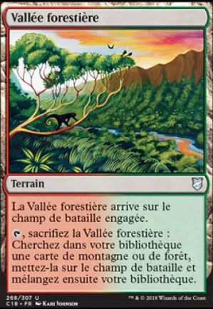 Vallée forestière