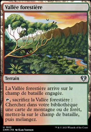 Vallée forestière