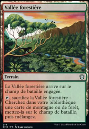 Vallée forestière