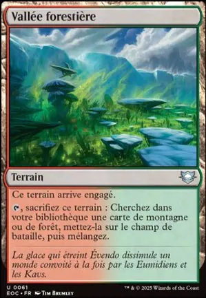 Vallée forestière