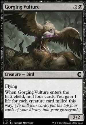 Vautour goulu
