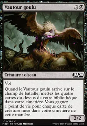 Vautour goulu